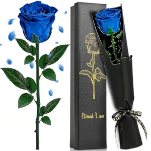 KDISHKRA Rosa Eterna - San Valentin Regalos para Mujer, Rosa Natural Preservada con Tallo, Flores Preservadas Regalos Cumpleaños Mujer, Ideas Regalos para Mama Novia Hermana Esposa (Azul) artificiales