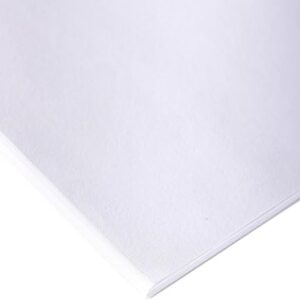 Clairefontaine 37282C - Une rame de papier dessin Croquis blanc 25 feuilles 59,4x84 cm 120g