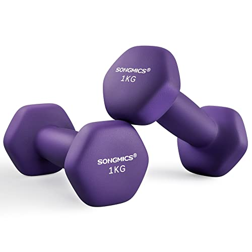 SONGMICS SYL902P02 - Pesas, 2 x 1 kg, con forma de mancuernas, hexagonales, revestimiento de neopreno, para entrenamiento de fuerza, fitness, para el hogar, púrpura ceniza SYL902P02