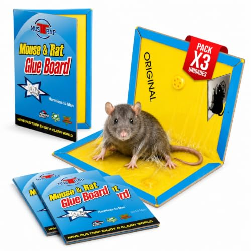 DESK GLOBAL | Trampa Ratas Adhesiva Ultra Fuerte Pack de 3 | Trampa Ratón Pegamento Extra Potente | Atrapa Ratones y Ratas | Ratonera Sin Veneno | Interior y Semi Exterior
